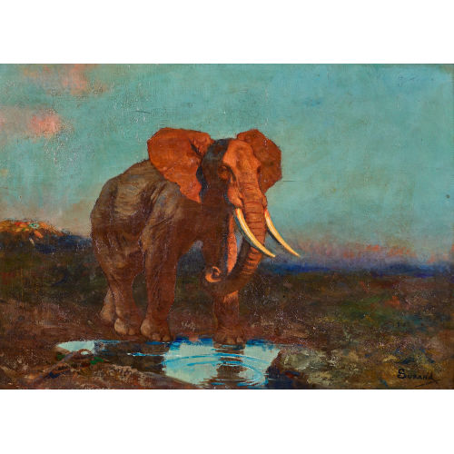 GUSTAVE SURAND : Elefant im Abendrot (Dobiaschofsky Auktionen AG)