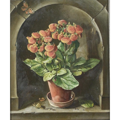 HANS RUDOLF SCHWARZENBACH : Stillleben mit Pantoffelblumen, Schmetterling und Schnecken (DOBIASCHOFSKY AUKTIONEN AG)