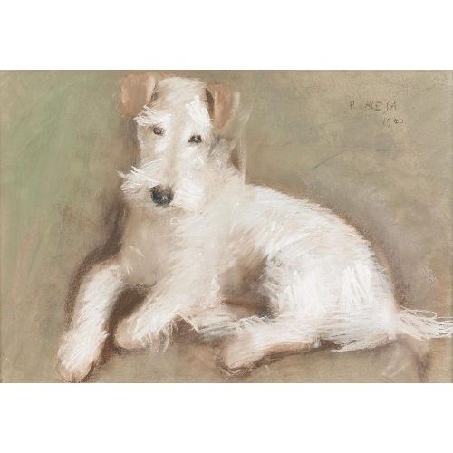 PIETRO CHIESA : Weisser Terrier (DOBIASCHOFSKY AUKTIONEN AG)