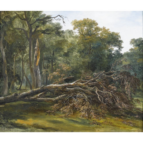 FRAN�OIS DIDAY : Sommerliche Waldlichtung mit einem umgest�rzten Baum (DOBIASCHOFSKY AUKTIONEN AG)