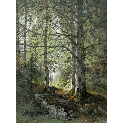 EDOUARD JEANMAIRE : Sonnige Waldpartie mit Buchen (DOBIASCHOFSKY AUKTIONEN AG)