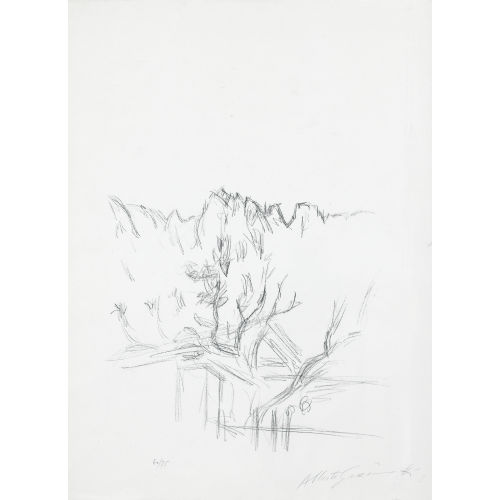 ALBERTO GIACOMETTI : Landscape with trees (DOBIASCHOFSKY AUKTIONEN AG)