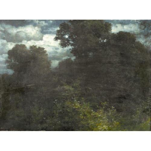 TRAUGOTT HERMANN R�DIS�HLI : Waldst�ck in n�chtlichem Licht (DOBIASCHOFSKY AUKTIONEN AG)