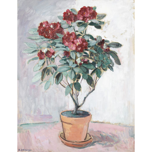 HENRI LEBASQUE : Stillleben mit bl�henden Azaleen (DOBIASCHOFSKY AUKTIONEN AG)