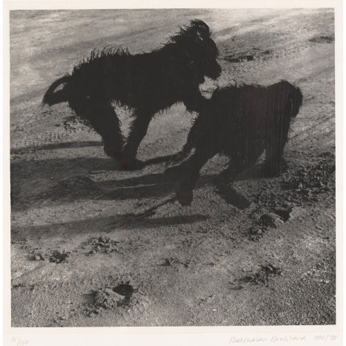 BALTHASAR BURKHARD : Chica und Tzara (DOBIASCHOFSKY AUKTIONEN AG)