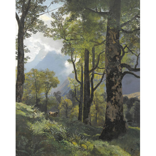 TRAUGOTT SCHIESS : Gebirgspartie mit Wald (DOBIASCHOFSKY AUKTIONEN AG)