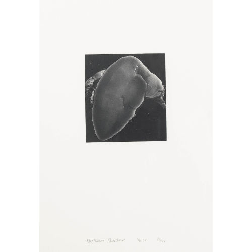 BALTHASAR BURKHARD : Ohne Titel (DOBIASCHOFSKY AUKTIONEN AG)