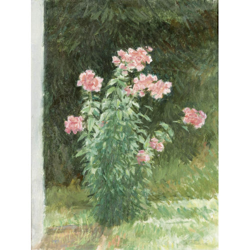 WERNER GFELLER : Rasenpartie mit Phlox (DOBIASCHOFSKY AUKTIONEN AG)