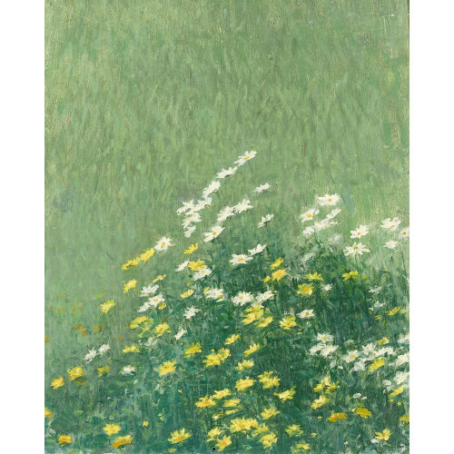 WERNER GFELLER : Wiesenpartie mit Margeriten und Arnika (DOBIASCHOFSKY AUKTIONEN AG)