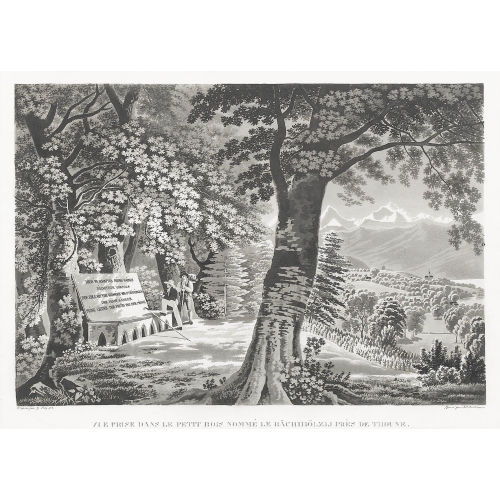 GABRIEL (GEN. LORY FILS) LORY : 'Vue prise dans le petit bois nomm� le B�chh�lzli...' (DOBIASCHOFSKY AUKTIONEN AG)
