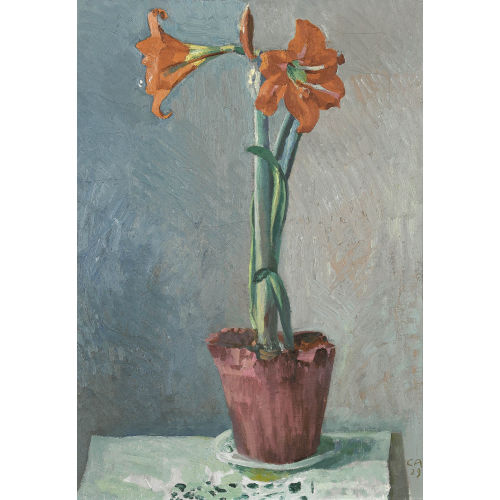 CUNO AMIET : Stillleben mit Amaryllis (DOBIASCHOFSKY AUKTIONEN AG)