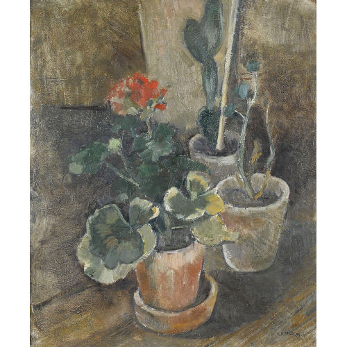 FRITZ RYSER : 'Geranium im Topf' (DOBIASCHOFSKY AUKTIONEN AG)