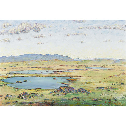 LOUIS D�RR : Sumpfige Hochebene in Irland (DOBIASCHOFSKY AUKTIONEN AG)