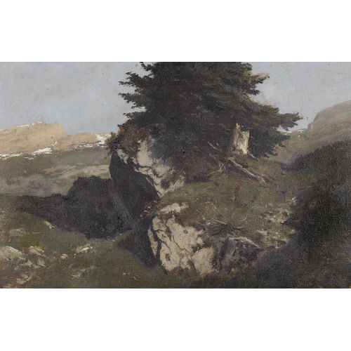GUSTAVE EUGENE CASTAN : 'Felsblock mit Arve' (DOBIASCHOFSKY AUKTIONEN AG)