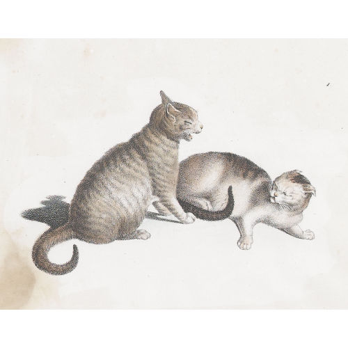 GOTTFRIED MIND : Zwei Katzen (DOBIASCHOFSKY AUKTIONEN AG)