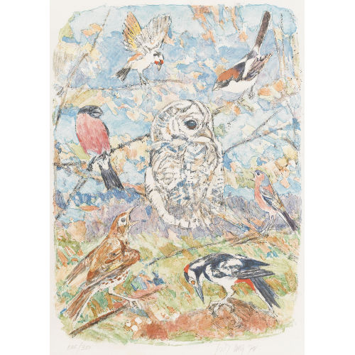 FRITZ HUG : Einheimische Vogelarten (DOBIASCHOFSKY AUKTIONEN AG)