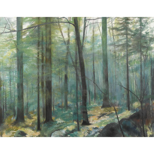 JUDITH SCHMIED-L′EPLATTENIER : Waldinneres (DOBIASCHOFSKY AUKTIONEN AG)
