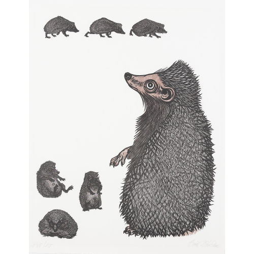 EMIL ZBINDEN : Igel mit Jungen (DOBIASCHOFSKY AUKTIONEN AG)