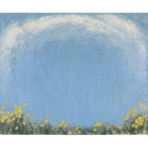 WERNER GFELLER : Gelbe Margeriten vor blauem Himmel (DOBIASCHOFSKY AUKTIONEN AG)