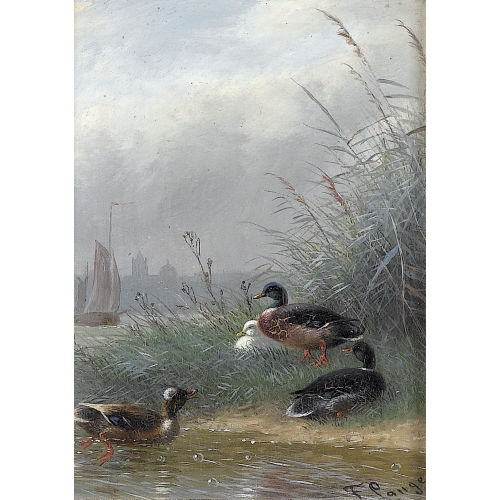 FRITZ LANGE : Enten an einem Flussufer mit Schilf (DOBIASCHOFSKY AUKTIONEN AG)