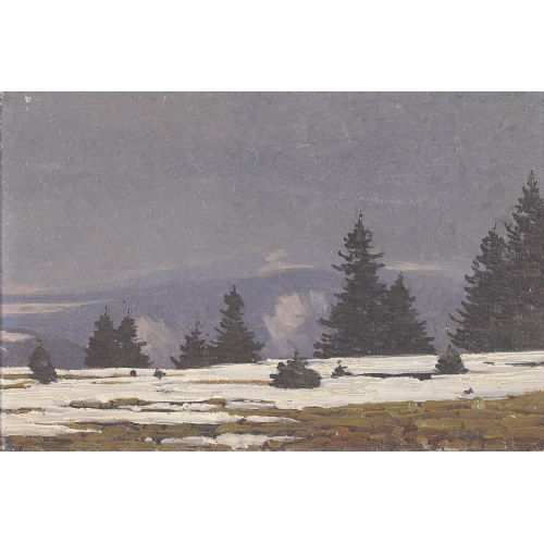 HERMANN DISCHLER : Winterliche Schwarzwaldlandschaft bei Furtwangen (DOBIASCHOFSKY AUKTIONEN AG)