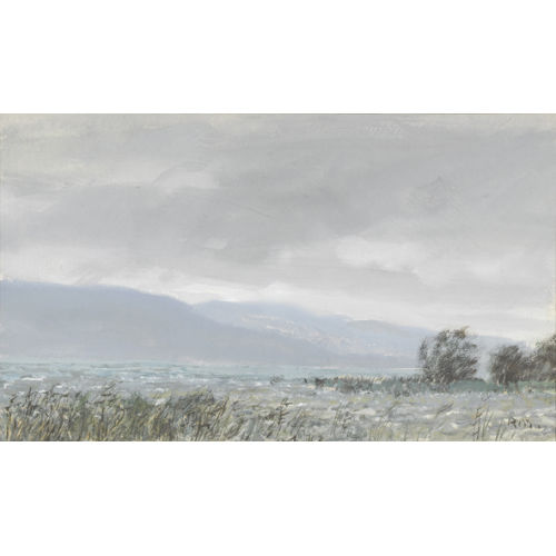 RUDOLF M�LLER : 'Tr�ber Tag, Neuenburgersee Estavayer' (DOBIASCHOFSKY AUKTIONEN AG)