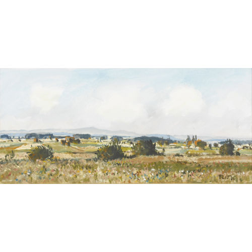 RUDOLF M�LLER : Sonnige Feldlandschaft (DOBIASCHOFSKY AUKTIONEN AG)