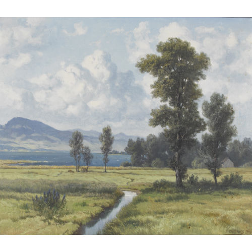 JAKOB EDWIN BACHMANN : Seeuferpartie am oberen Z�richsee mit Riedland (DOBIASCHOFSKY AUKTIONEN AG)