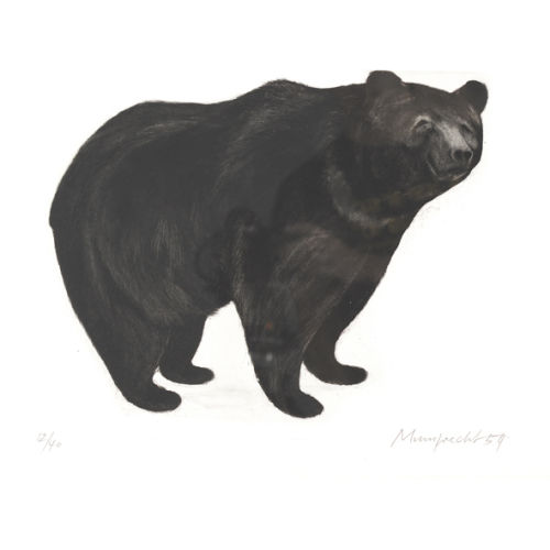 RUDOLF MUMPRECHT : Ours (DOBIASCHOFSKY AUKTIONEN AG)