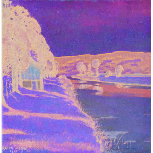 GEORG WEBER : 'Fluss in der March bei Tuggen' (DOBIASCHOFSKY AUKTIONEN AG)