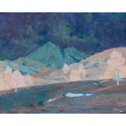 ROBERT FRANZ CURRY : Verschneite Berglandschaft in der Abendsonne (DOBIASCHOFSKY AUKTIONEN AG)