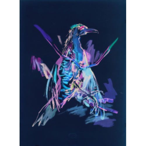 OSKAR KOKOSCHKA : Der Specht (DOBIASCHOFSKY AUKTIONEN AG)