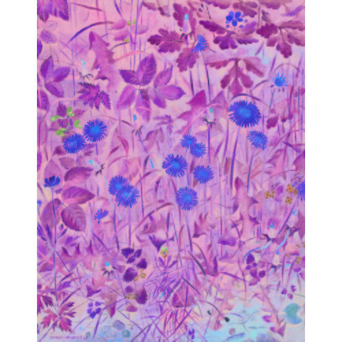 HANS RUDOLF SCHWARZENBACH : Wiese mit Blumen (DOBIASCHOFSKY AUKTIONEN AG)