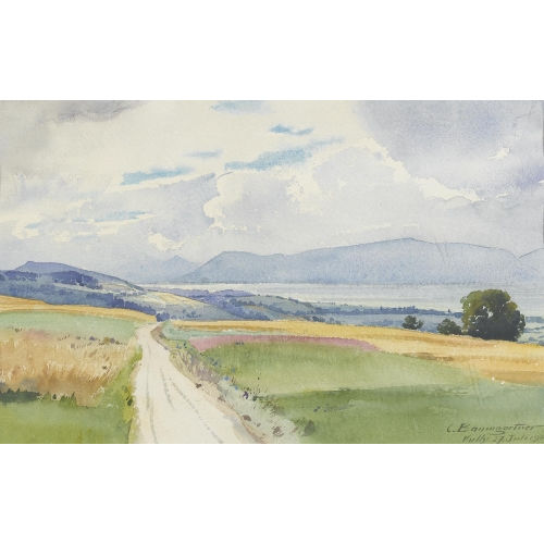 CHRISTIAN BAUMGARTNER : Wiesenlandschaft mit Blick auf den Genfersee (DOBIASCHOFSKY AUKTIONEN AG)