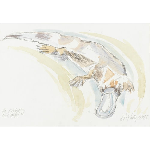 FRITZ HUG : 'The Platypus time forgot it' (DOBIASCHOFSKY AUKTIONEN AG)
