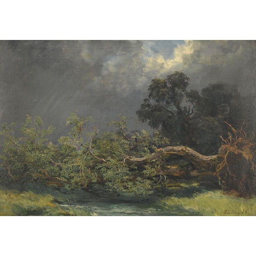 ROBERT Z�ND : 'Nach dem Sturm' (DOBIASCHOFSKY AUKTIONEN AG)