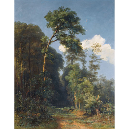 JOHANN GOTTFRIED STEFFAN : Sommerlicher Waldweg (DOBIASCHOFSKY AUKTIONEN AG)