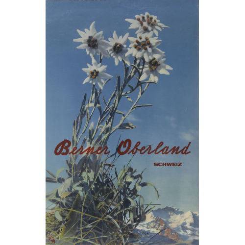 ALBERT STEINER : 'Berner Oberland' (DOBIASCHOFSKY AUKTIONEN AG)