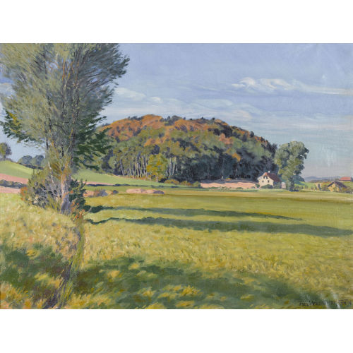 WALDEMAR THEOPHIL FINK : 'Herbsttag bei Wittikofen' (DOBIASCHOFSKY AUKTIONEN AG)