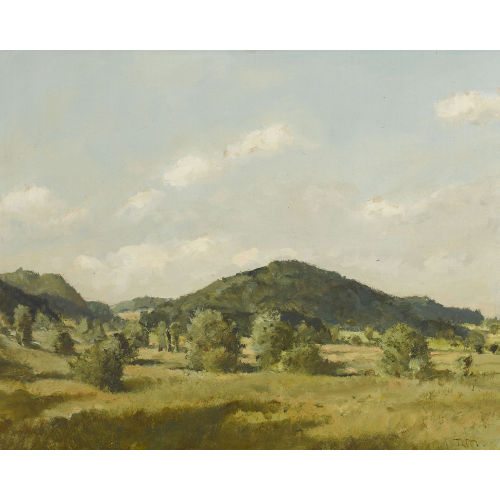 RUDOLF M�LLER : Weite sommerliche Landschaft (DOBIASCHOFSKY AUKTIONEN AG)