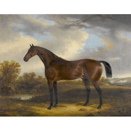 GEORGE COLE : 'Portrait of a Horse' (DOBIASCHOFSKY AUKTIONEN AG)