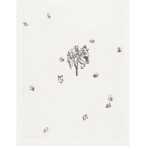 ALFRED HOFKUNST : Bl�tter (DOBIASCHOFSKY AUKTIONEN AG)