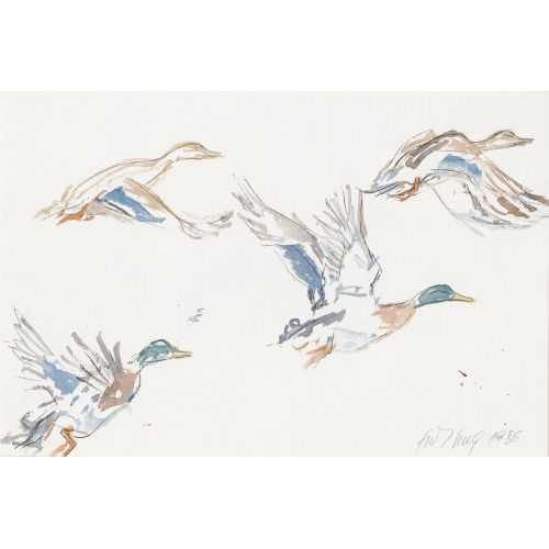 FRITZ HUG : Fliegende Enten (DOBIASCHOFSKY AUKTIONEN AG)
