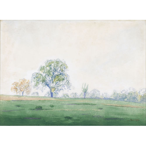 ALBERT TRACHSEL : Sommerliche Wiesenlandschaft (DOBIASCHOFSKY AUKTIONEN AG)