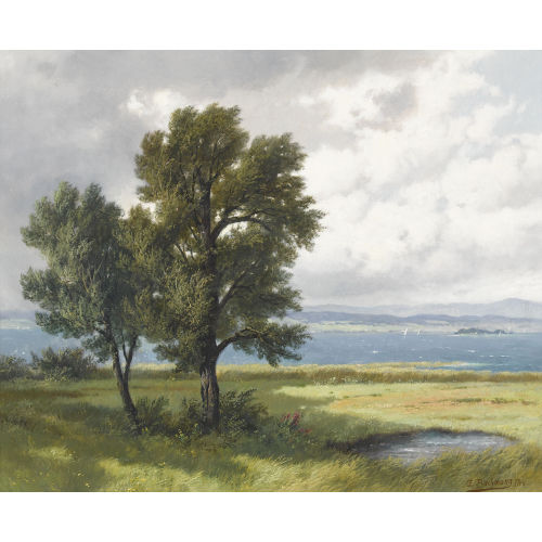 JAKOB EDWIN BACHMANN : Z�richsee bei Sturm (DOBIASCHOFSKY AUKTIONEN AG)