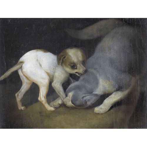 JOSEPH SIMON VOLMAR : Spielende Katze mit einem Welpen (DOBIASCHOFSKY AUKTIONEN AG)