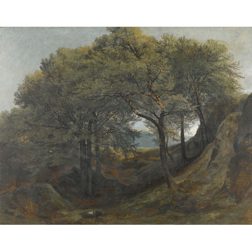 ALEXANDRE CALAME : Felsige Waldlandschaft (DOBIASCHOFSKY AUKTIONEN AG)
