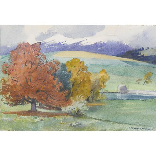 CHRISTIAN BAUMGARTNER : Herbstliche Landschaft (DOBIASCHOFSKY AUKTIONEN AG)