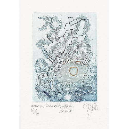ALBERT EDGAR YERSIN : 'Deux ou trois chloroplastes' (DOBIASCHOFSKY AUKTIONEN AG)