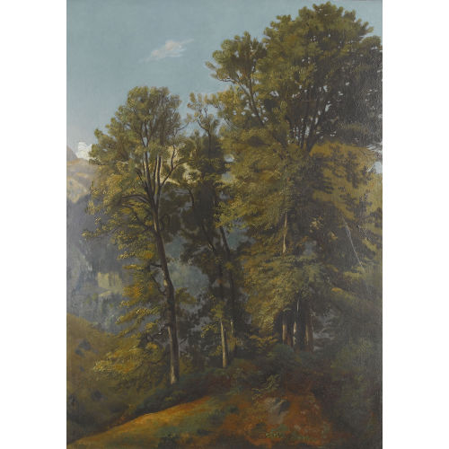 JEAN PHILIPPE GEORGE-JULLIARD : Berglandschaft mit einer Waldlichtung (DOBIASCHOFSKY AUKTIONEN AG)
